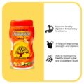 Chyawanprash3-f2