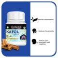 KAFOL_f2
