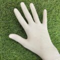 Latex Examination Gloves Powder Free