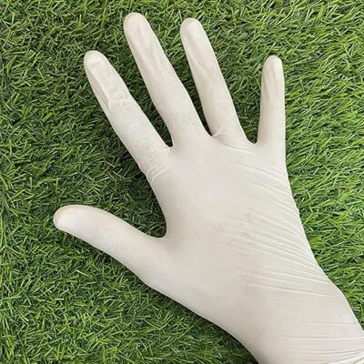 Latex Examination Gloves Powder Free